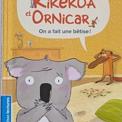 on a fait une betise