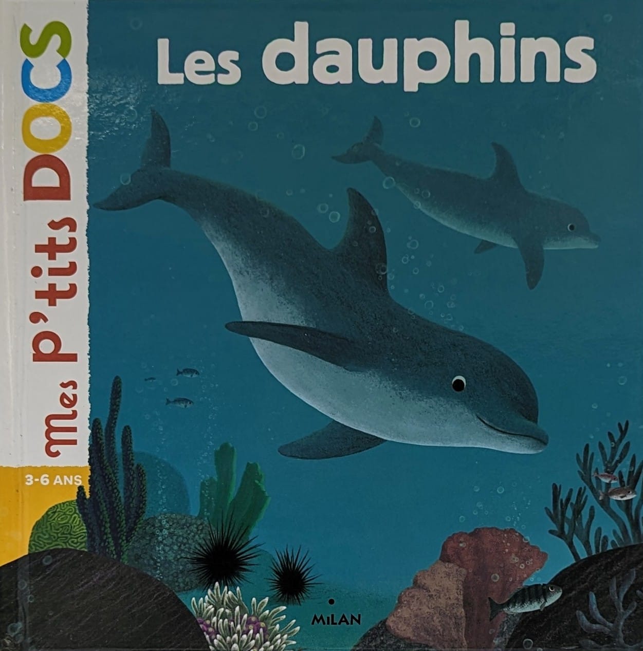les dauphins