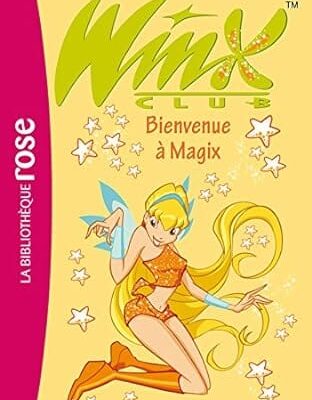 bienvenue a magix