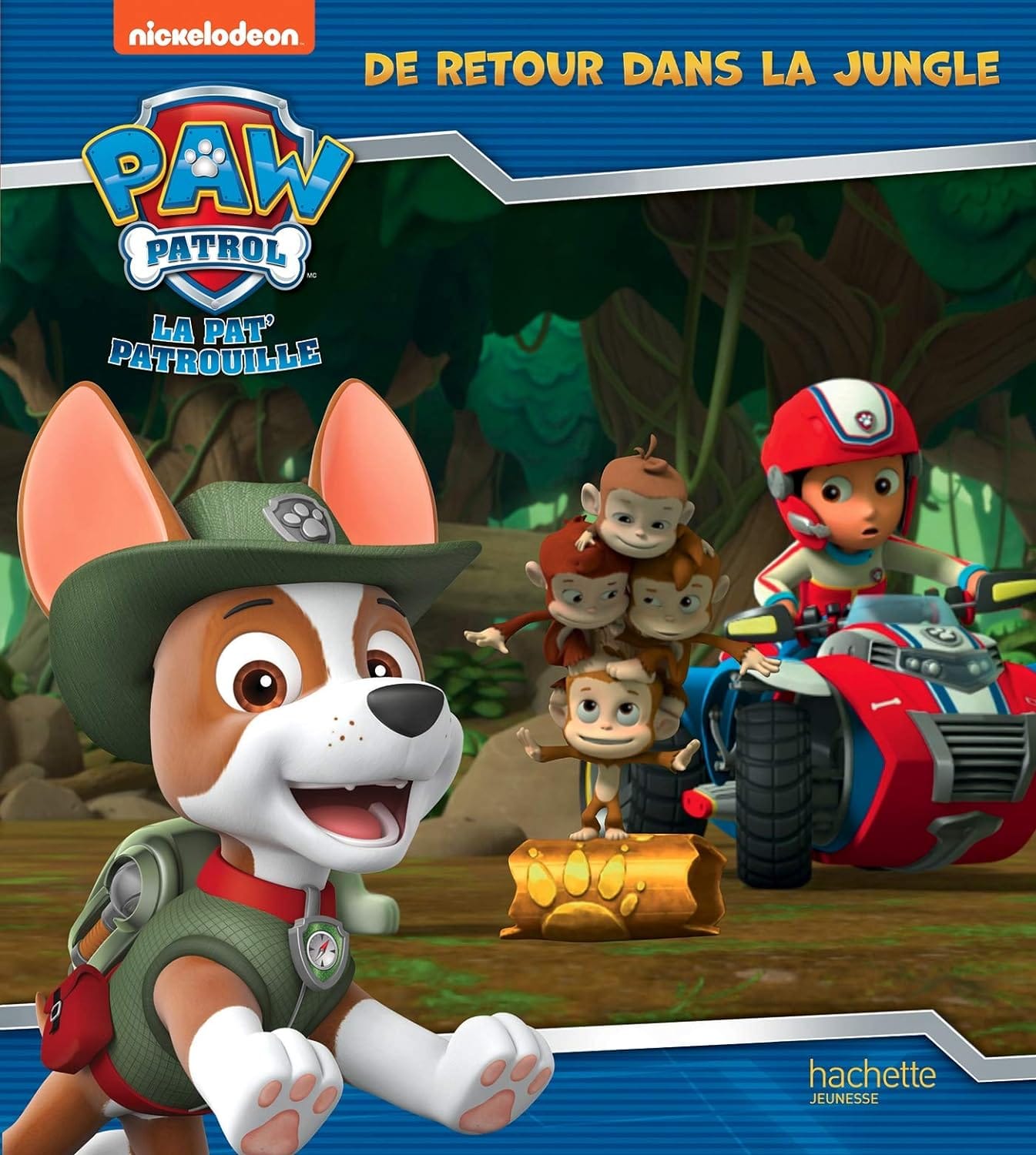 de retour dans la jungle
