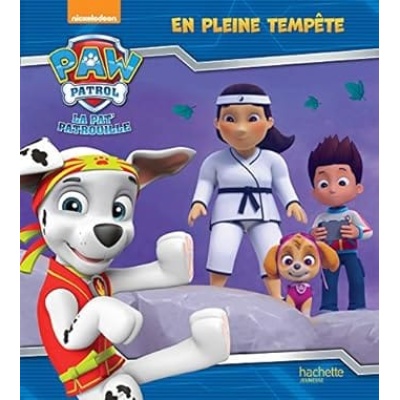 la pat'patrouille en pleine tempete
