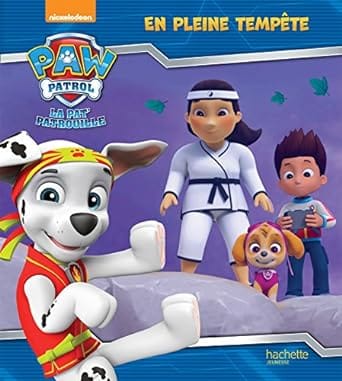 la pat'patrouille en pleine tempete
