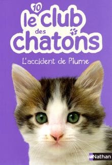 le club des chatons l 'accident de plume