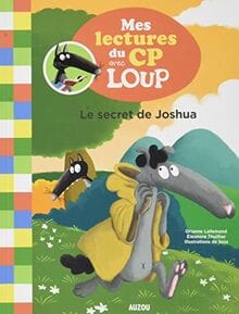 mes lectures du cp le secret de joshua