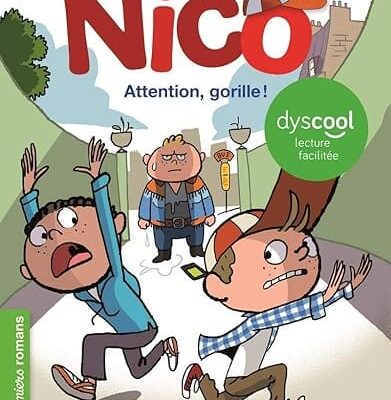 nico attention gorille