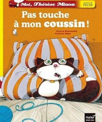 pas touche a mon coussin