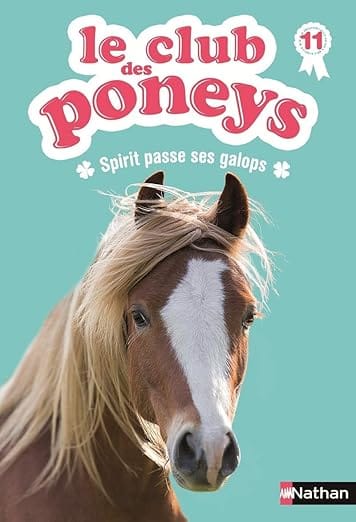 le club des poneys spirit passe ses galops